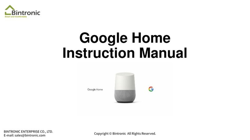 Bintronic Google Home instruction manual
