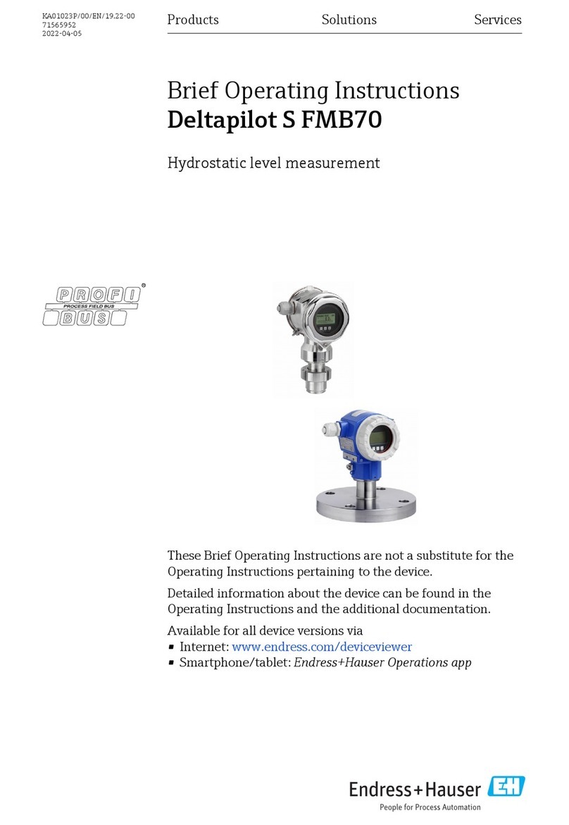 Endress+Hauser Deltapilot S FMB70 Technical specifications