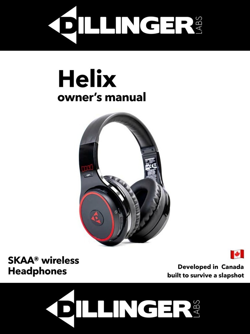 Dillinger Labs SKAA Helix owner's manual