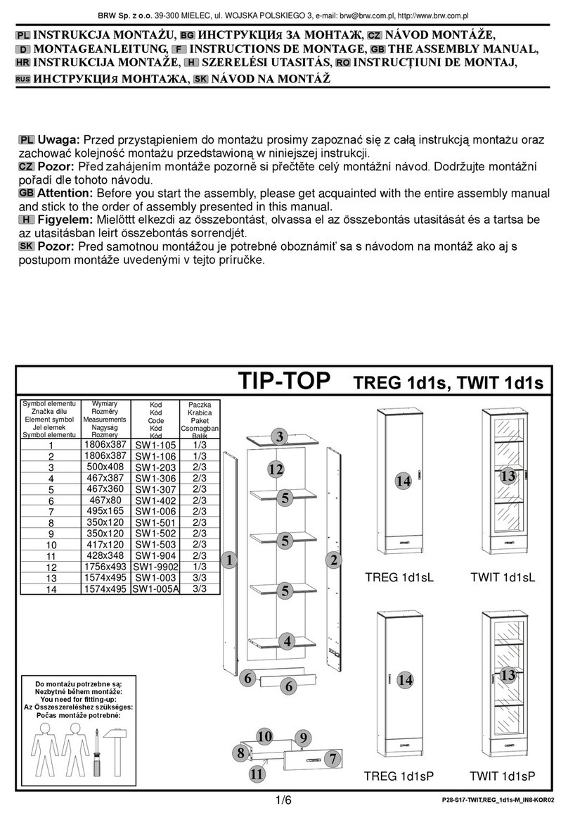 BRW TIP-TOP TREG 1d1s Assembly manual