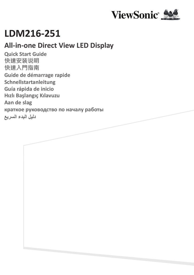 ViewSonic LDM216-251 User manual