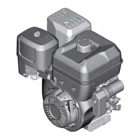 Briggs & Stratton 190000 Series User manual