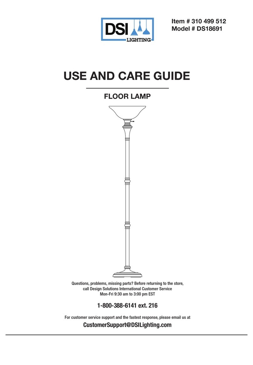 DSI LIGHTING DS18691 User manual