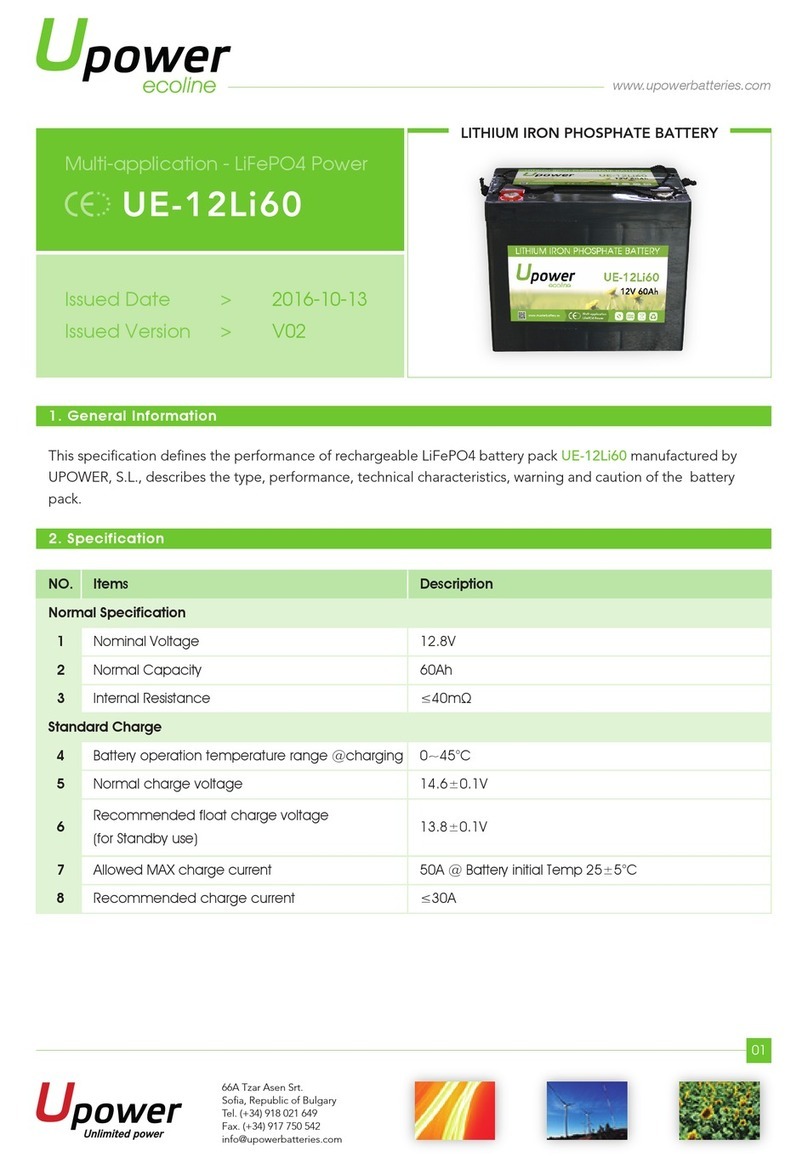 UPOWER Ecoline UE-12Li60 manual