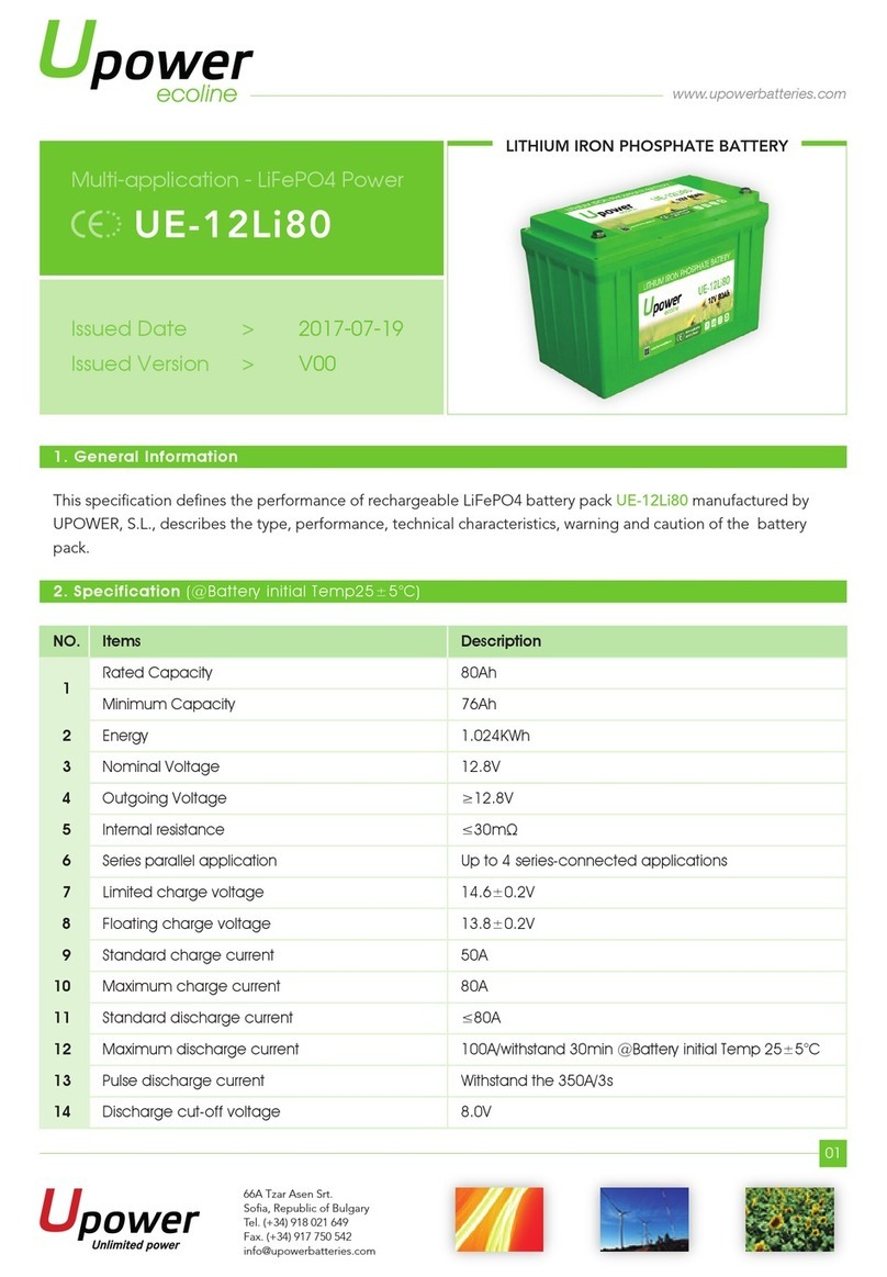 UPOWER Ecoline UE-12Li80 manual