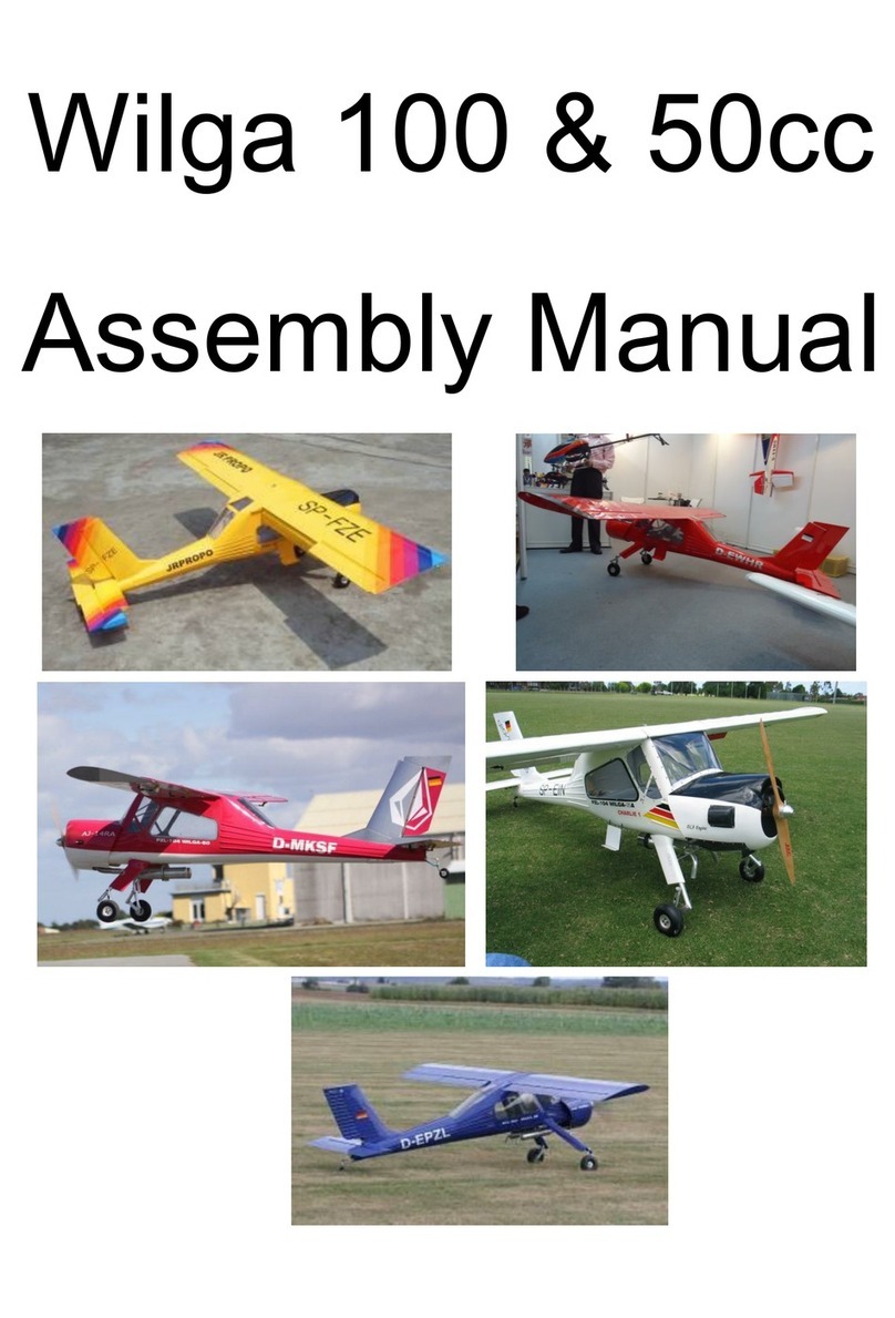 General Hobby Wilga 100cc User manual
