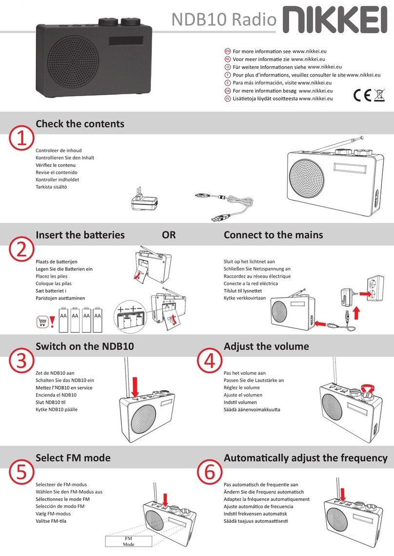 Nikkei NDB10 quick guide