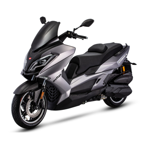 Wottan motor STORM-S 300cc User manual