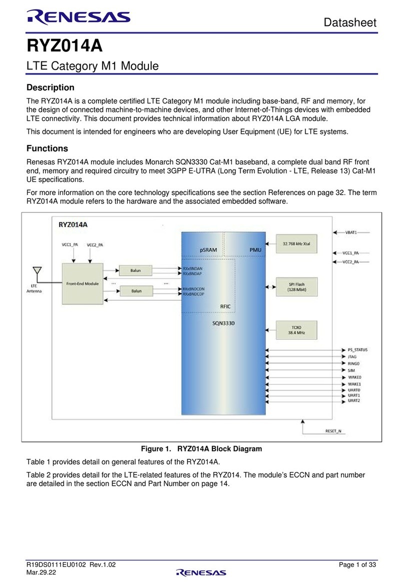 Renesas RYZ014A datasheet