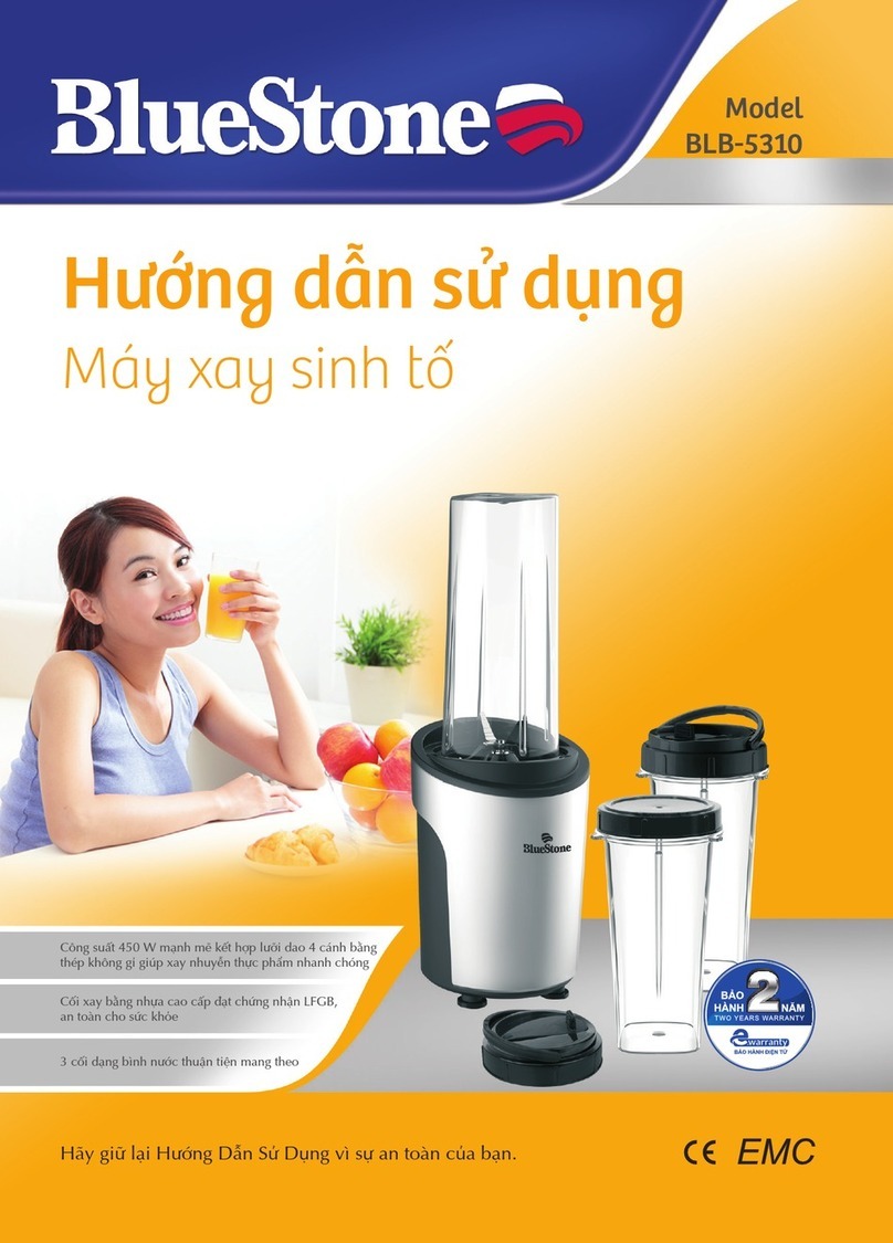 BLUE STONE BLB-5310 User manual