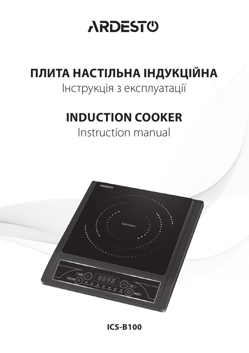 ARDESTO ICS-B100 instruction manual
