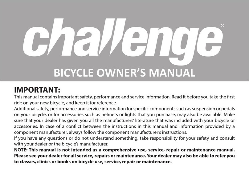 Challenge Compass owner's manual