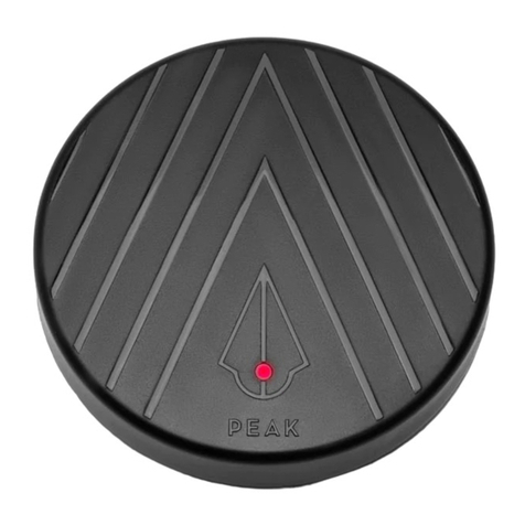 Peak RADIX manual