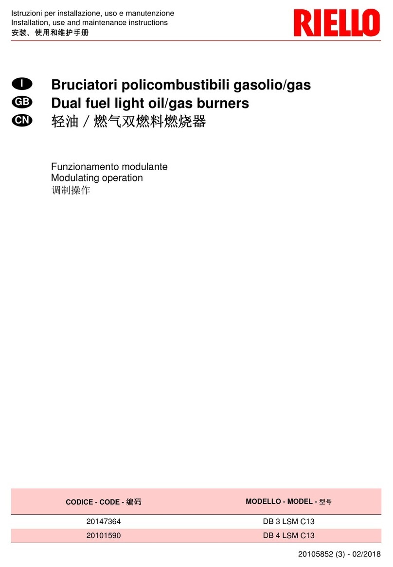 Riello DB 4 LSM C13 Installation, use and maintenance instructions