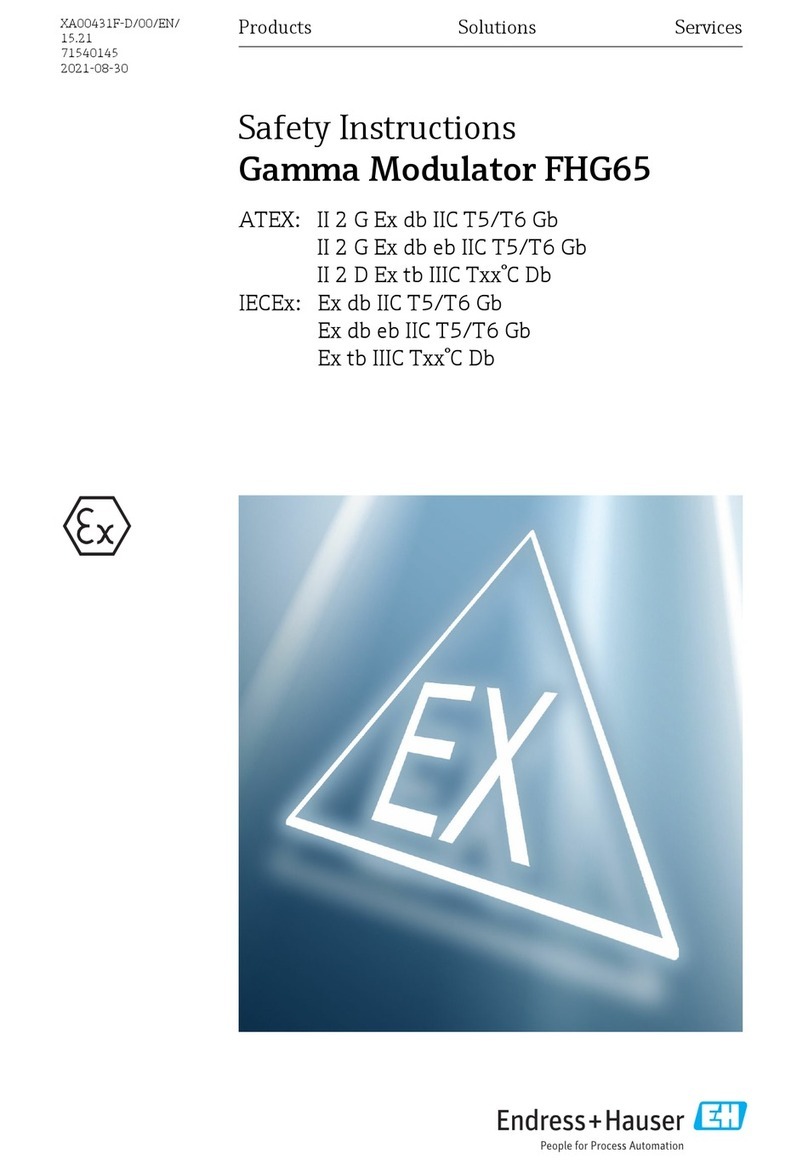 Endress+Hauser FHG65 Firmware update