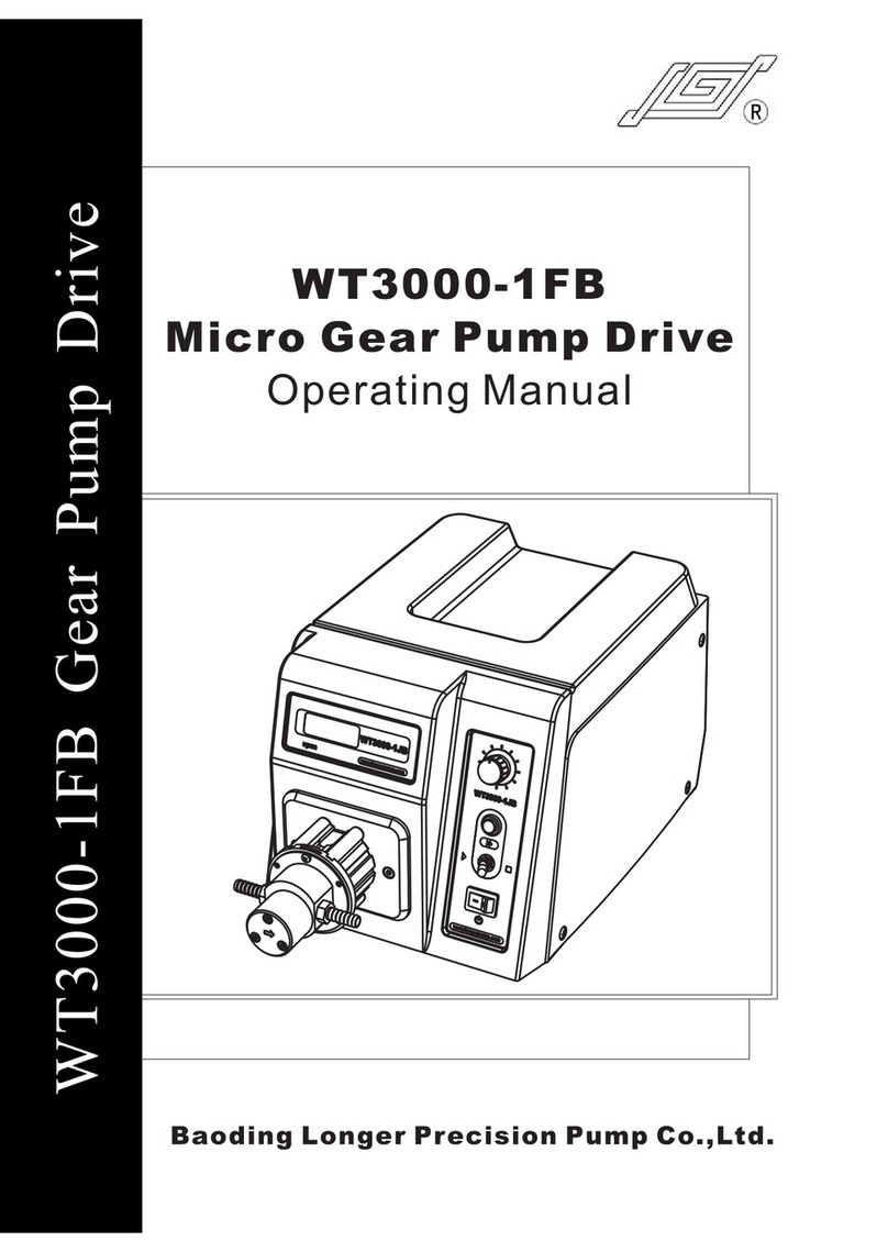 Baoding Longer Precision Pump WT3000-1FB operating manual
