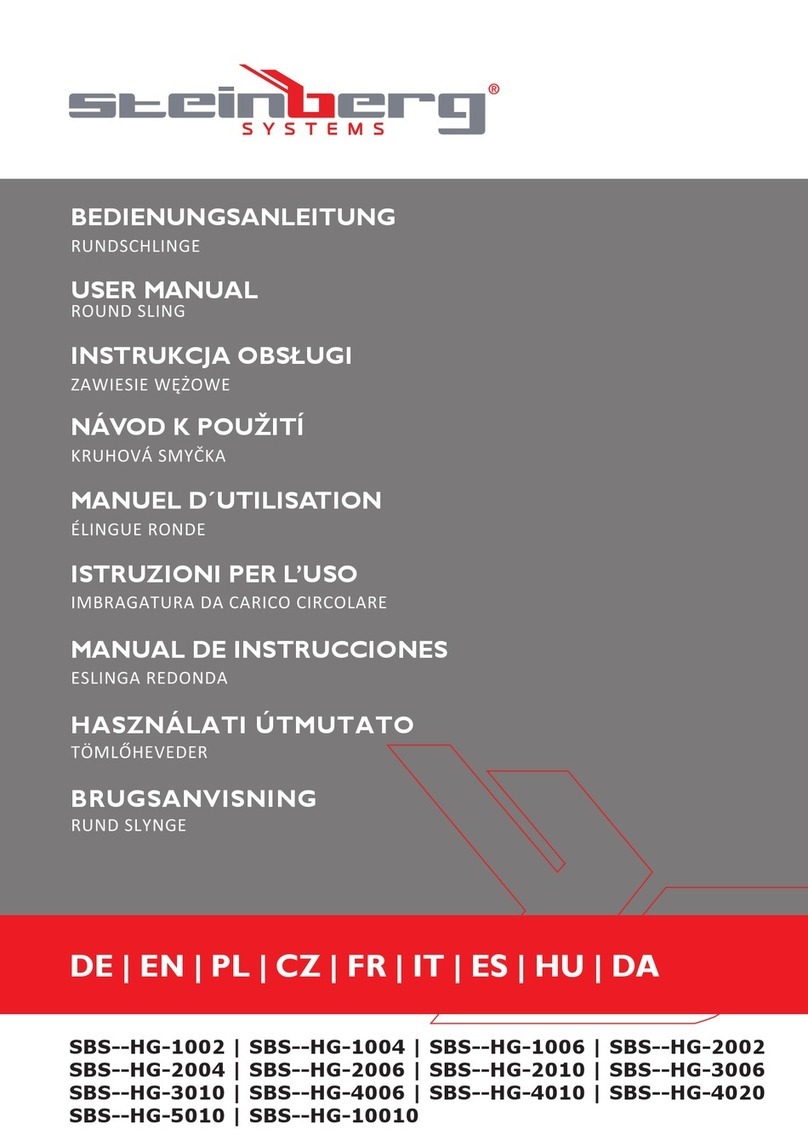 Steinberg Systems SBS-HG-1002 user manual Steinberg Systems SBS-HG-1002 user manual