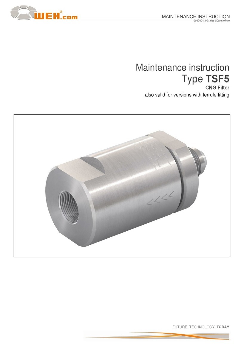Weh TSF5 Maintenance Instruction