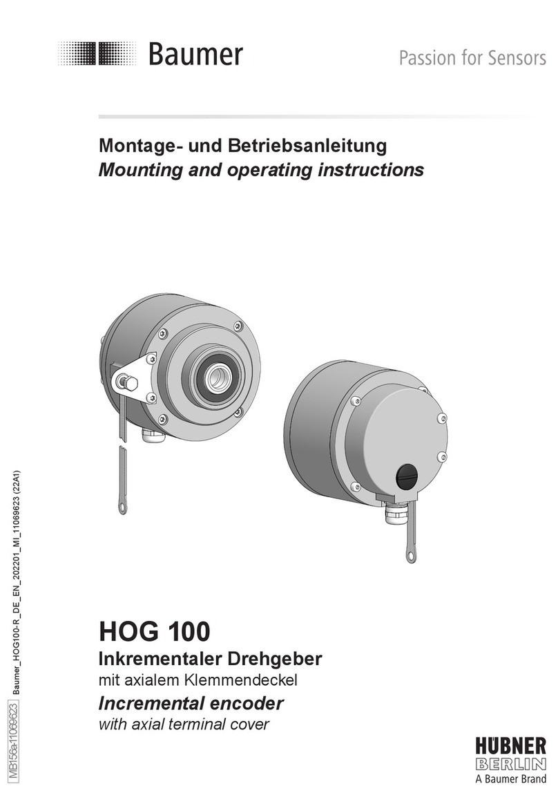 Baumer HOG 100 Mounting and operating instructions