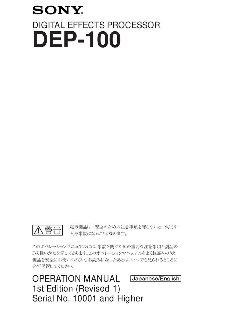 Sony DEP-100 User manual