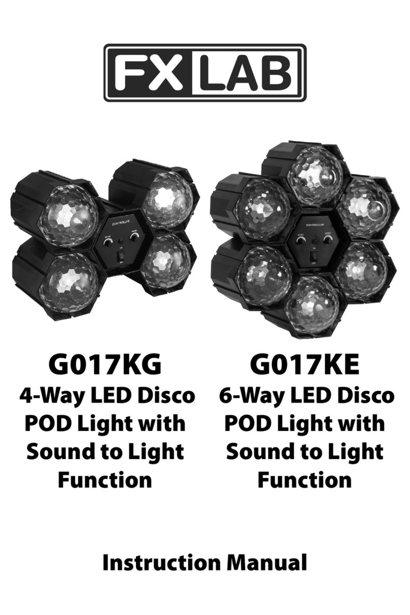 FX LAB G017KG User manual