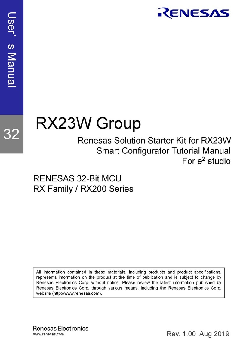 Renesas RX Series User manual