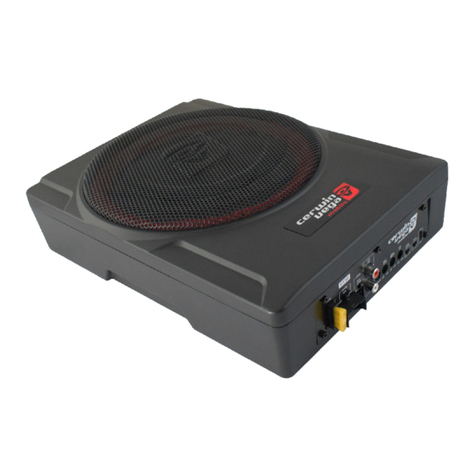 Cerwin-Vega VR10 manual