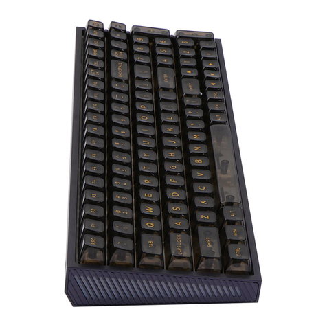Epomaker TH100 User manual