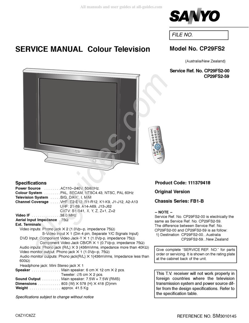 Sanyo CP29FS2 Service manual