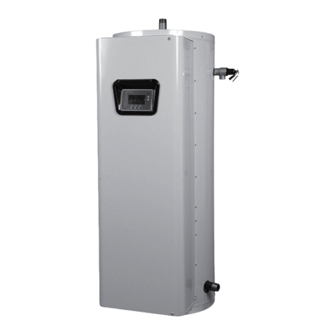 Lochinvar 100 Series User manual