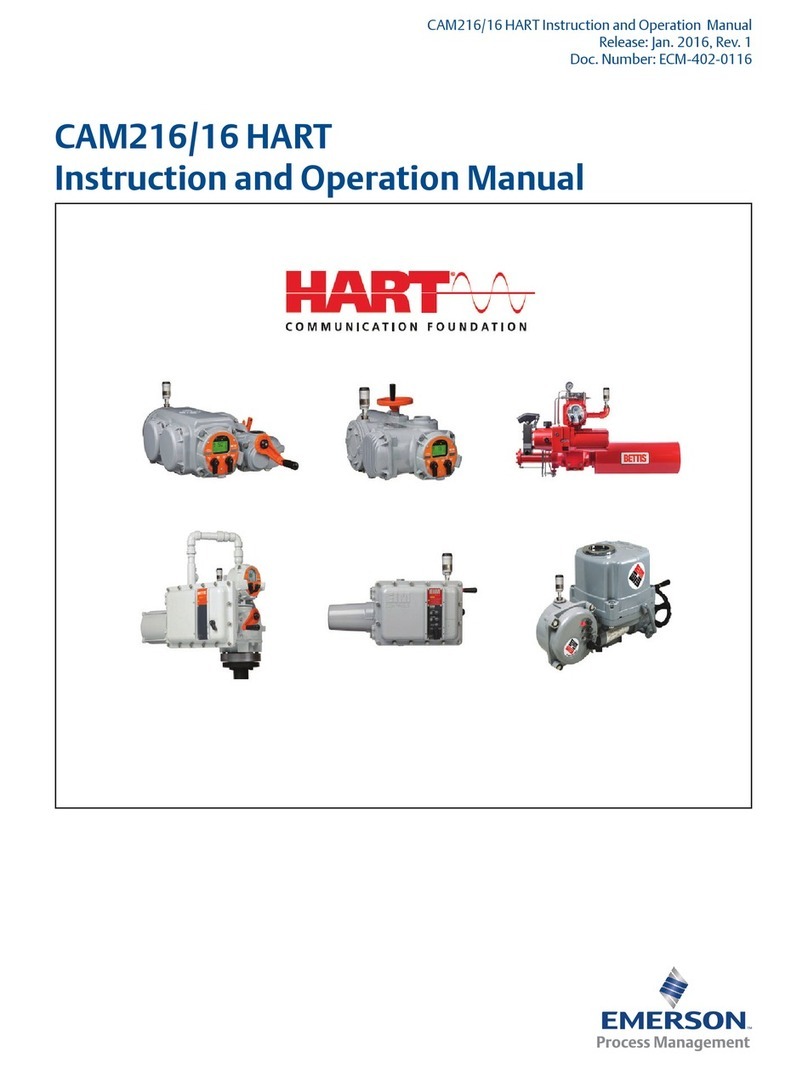 Emerson HART CAM216 Manual