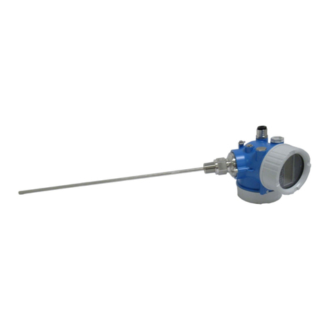 Endress+Hauser Levelflex FMP51 Technical specifications