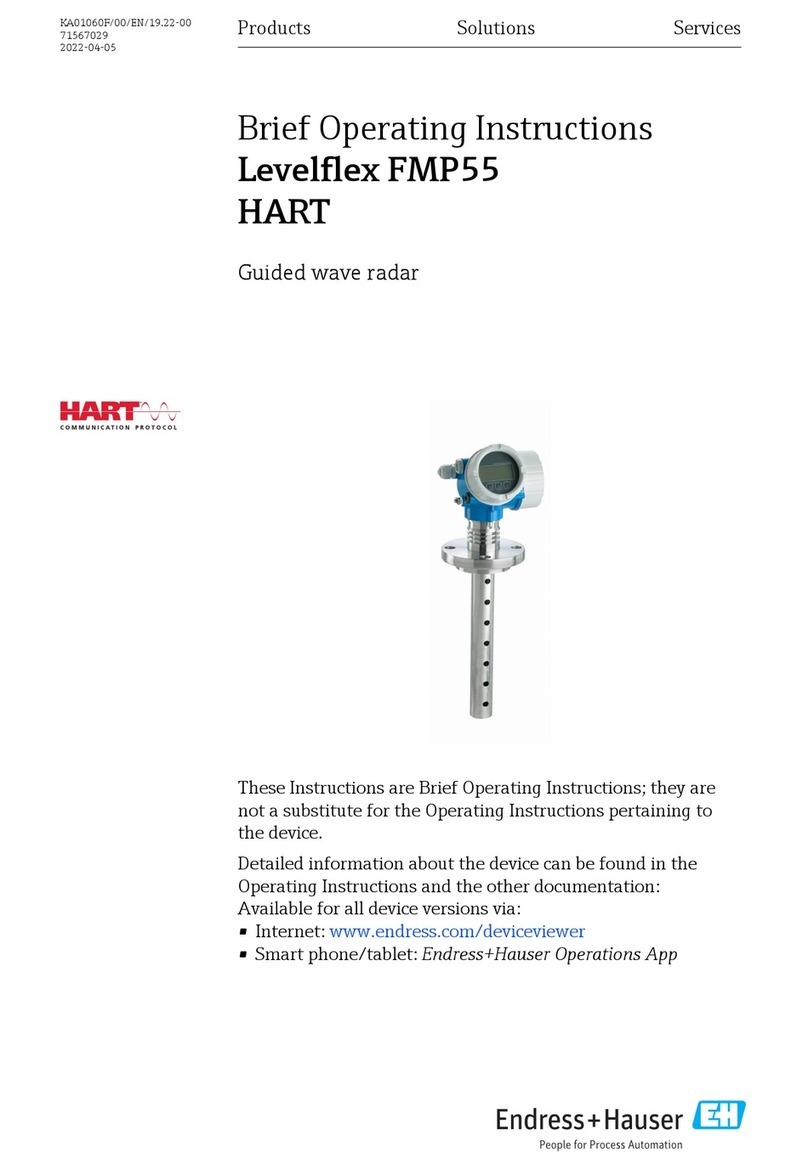 Endress+Hauser Levelflex FMP55 Brief operating instructions