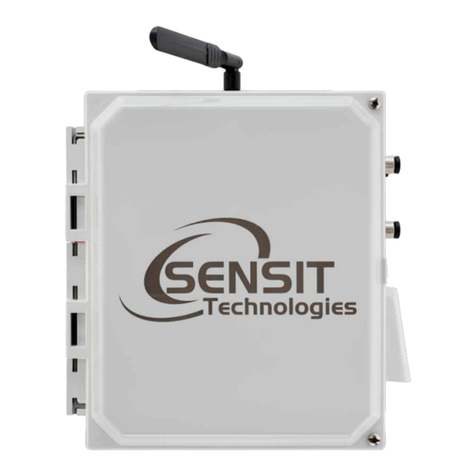 SENSIT Technologies SENSIT-IT RAMP User manual